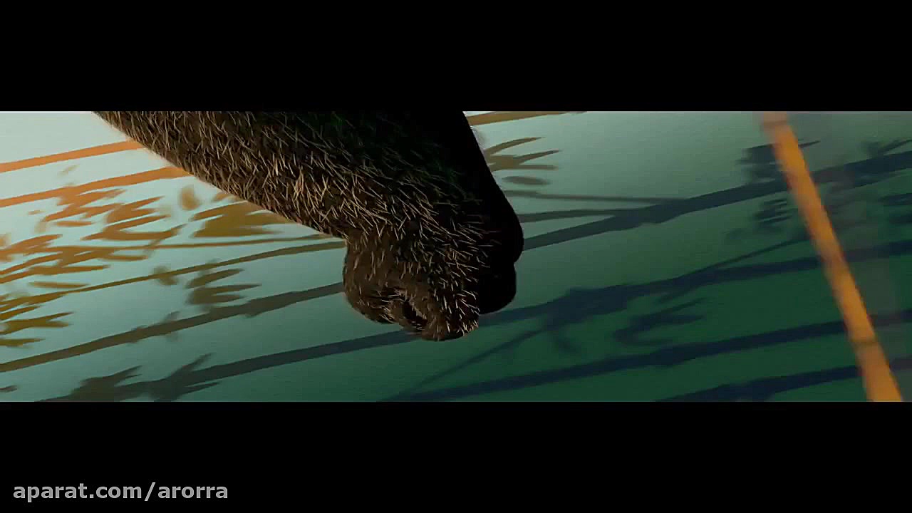 پاندای كنگ فوكار ام وی