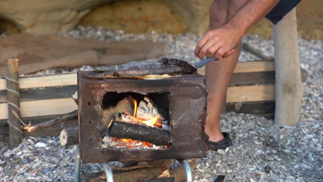 کمپینگ بقا در سواحل خلیج فارس...