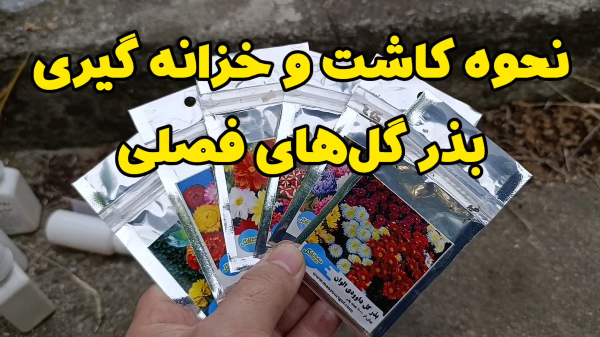 کاشت بذر گل  نحوه کاشت و خزانه...