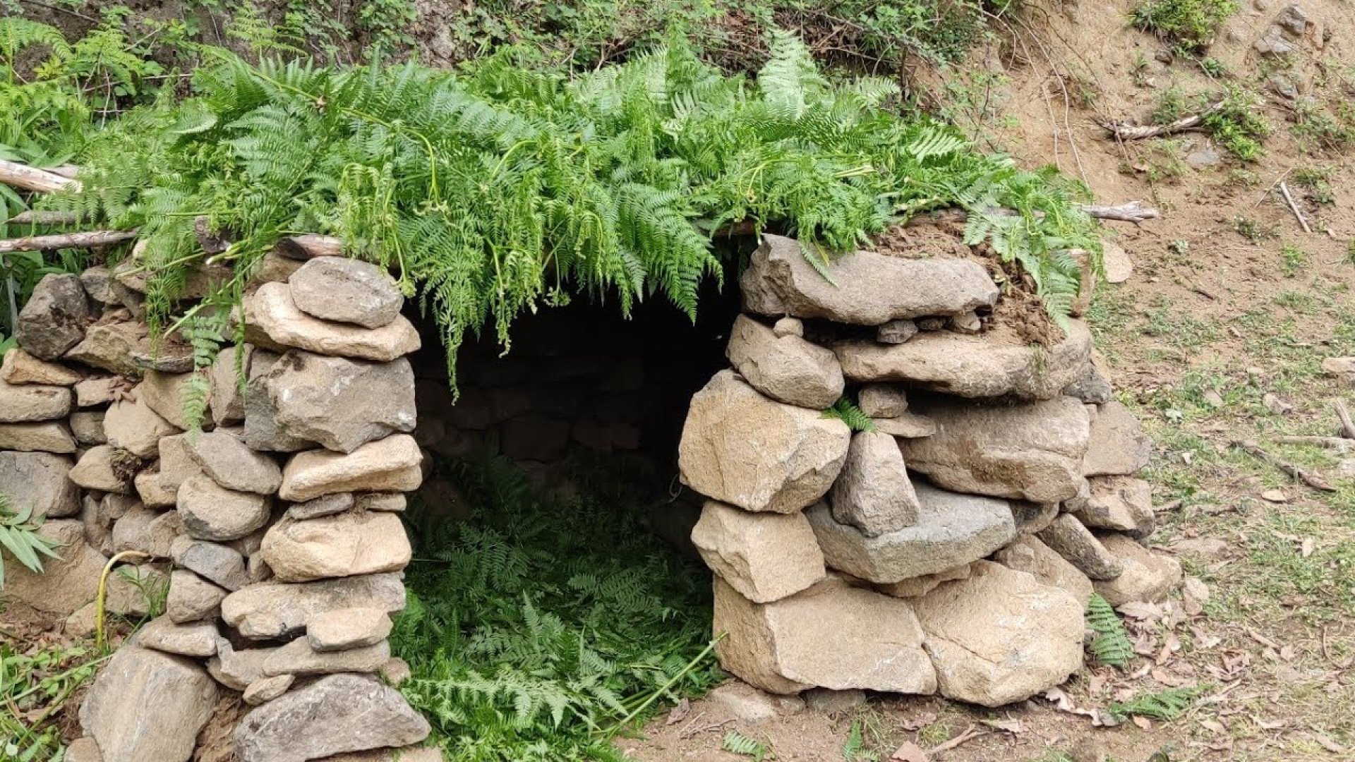 ساخت پناهگاه سنگی در وسط جنگل