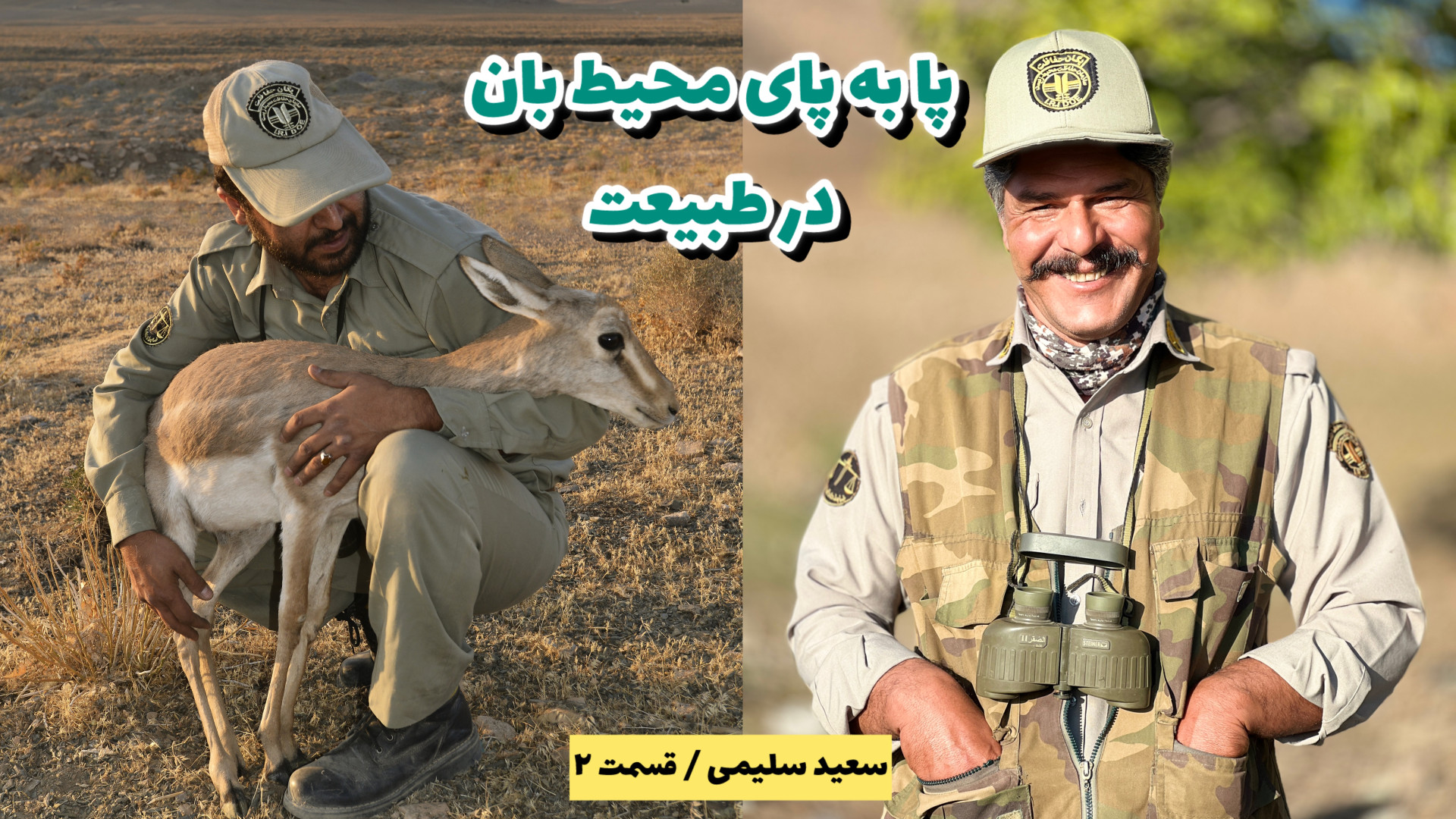 پا به پای محیط بان در طبیعت ؛...