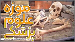 ولاگ تهرانگردی | موزه تاریخ عل...