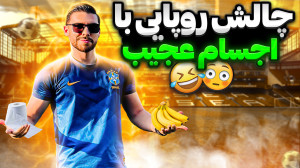 روپایی با تخم مرغ و اجسام کوچک...
