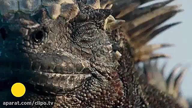 سری جدید مستند سیاره زمین: ایگوانای آبی زمان630ثانیه