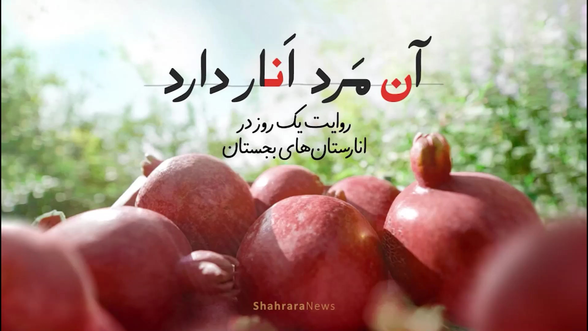 روایت یک روز در انارستان های ب...