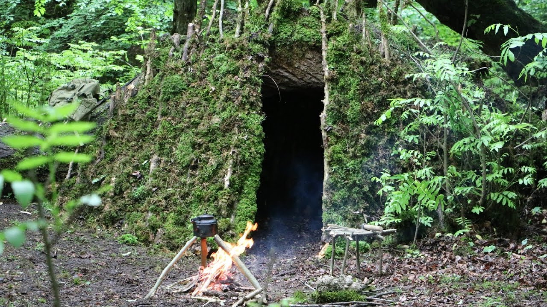 ساختن پناهگاه زیبا و سبز بوشکر...