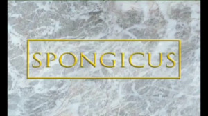 باب اسفنجی شلوار مکعبی spangeb...