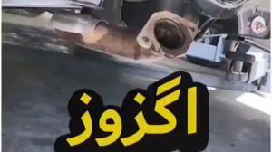 دیگنیتی پرستیژ