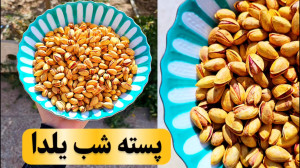 آموزش پسته زعفرونی نازگل (ویژه...