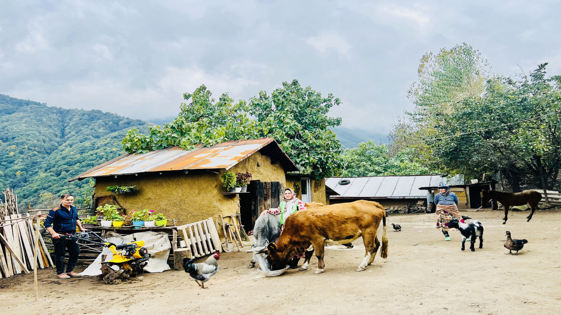 زندگی روستایی