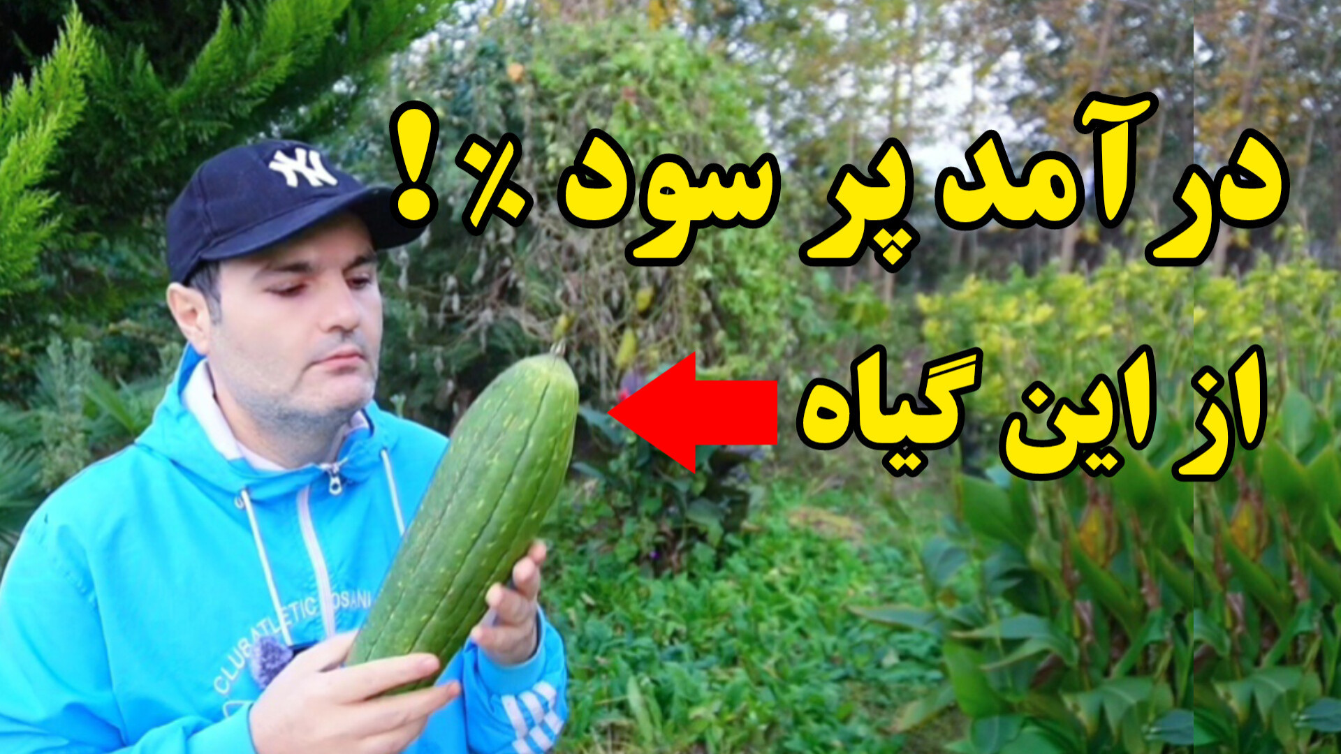 ایده کسب درآمد پرسود و بی‌دردس...