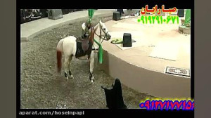 سکینه تعزیه علی اکبر از جواد م...