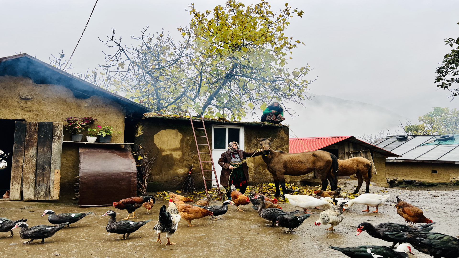 پخت کدو پلو روی بخاری هیزمی