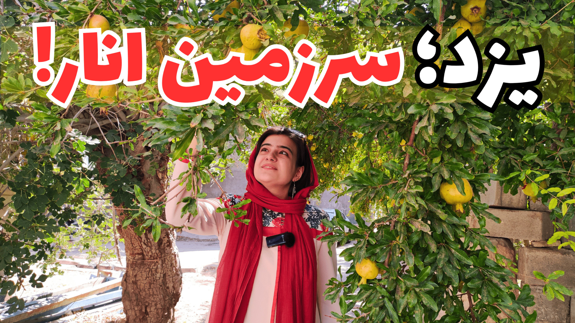 تجربه فصل انار در مشهور ترین ب...