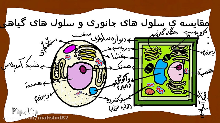 آموزش تصویری فصل 11 علوم پایه...