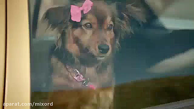 تیزر تبلیغاتی خلاقانه تبلیغ ما...