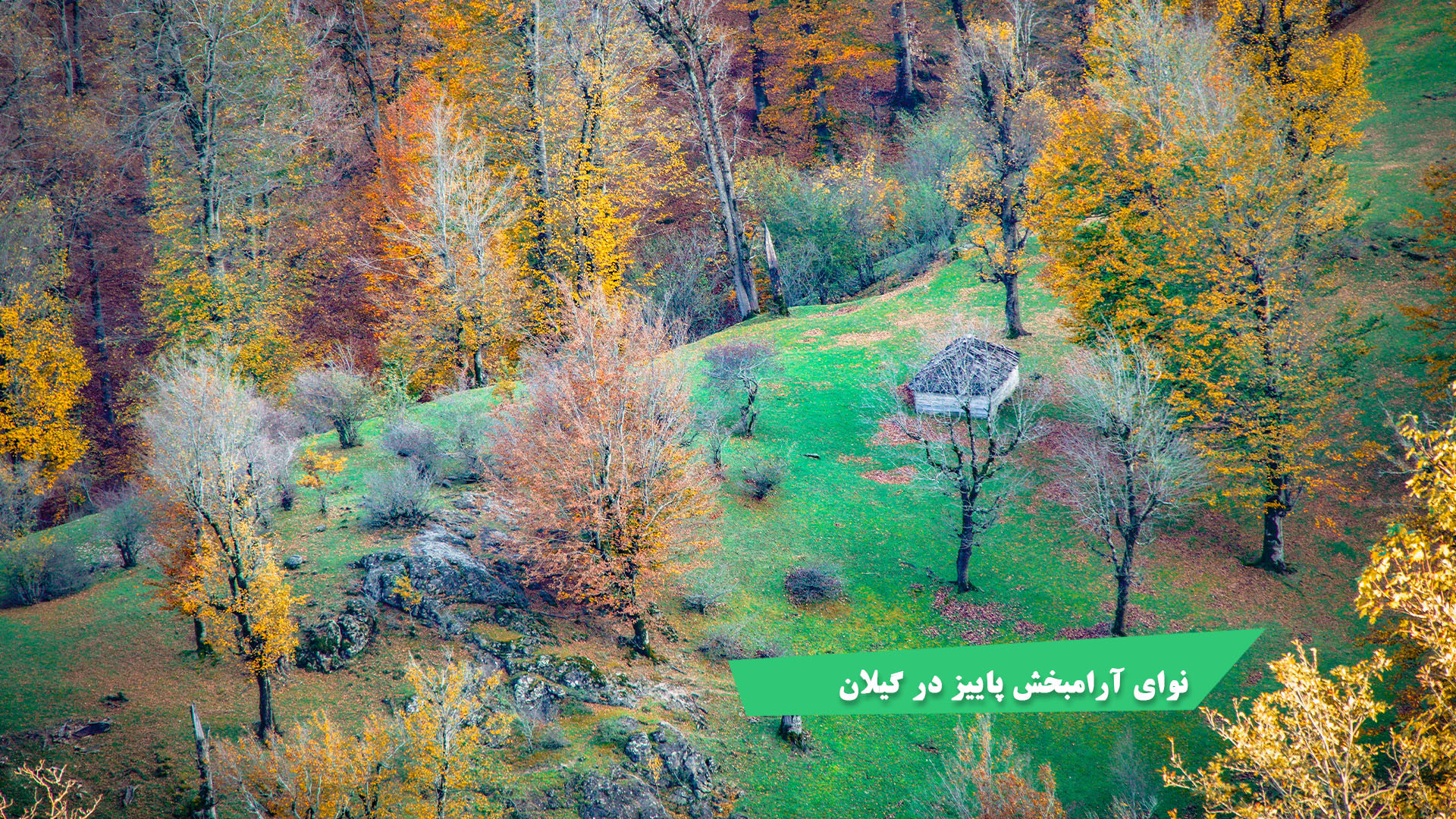 موسیقی آرامبخش با تصاویر پاییز...