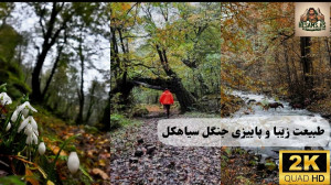 قدم در طبیعت زیبا و پاییزی جنگ...