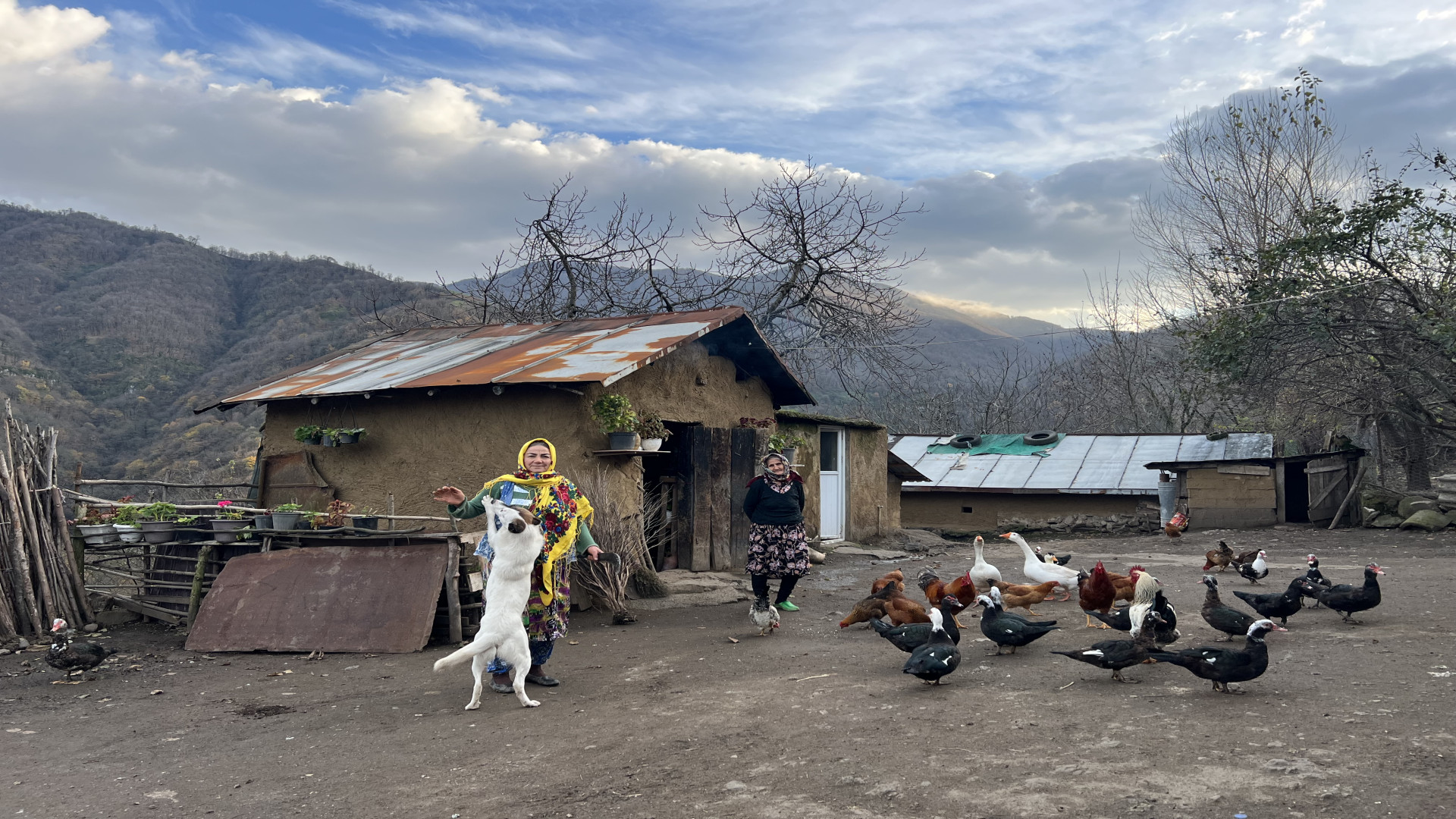 پخت کوکوی سبزی محلی