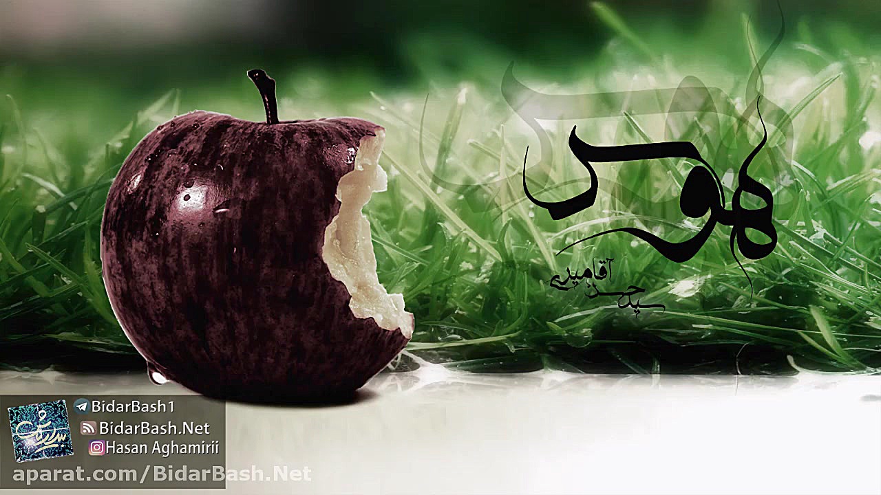 هوس  سید حسن آقامیری