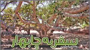 سفر به چابهار | قسمت ششم