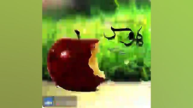 &quot;هوس&quot; سید حسن آقامیر...