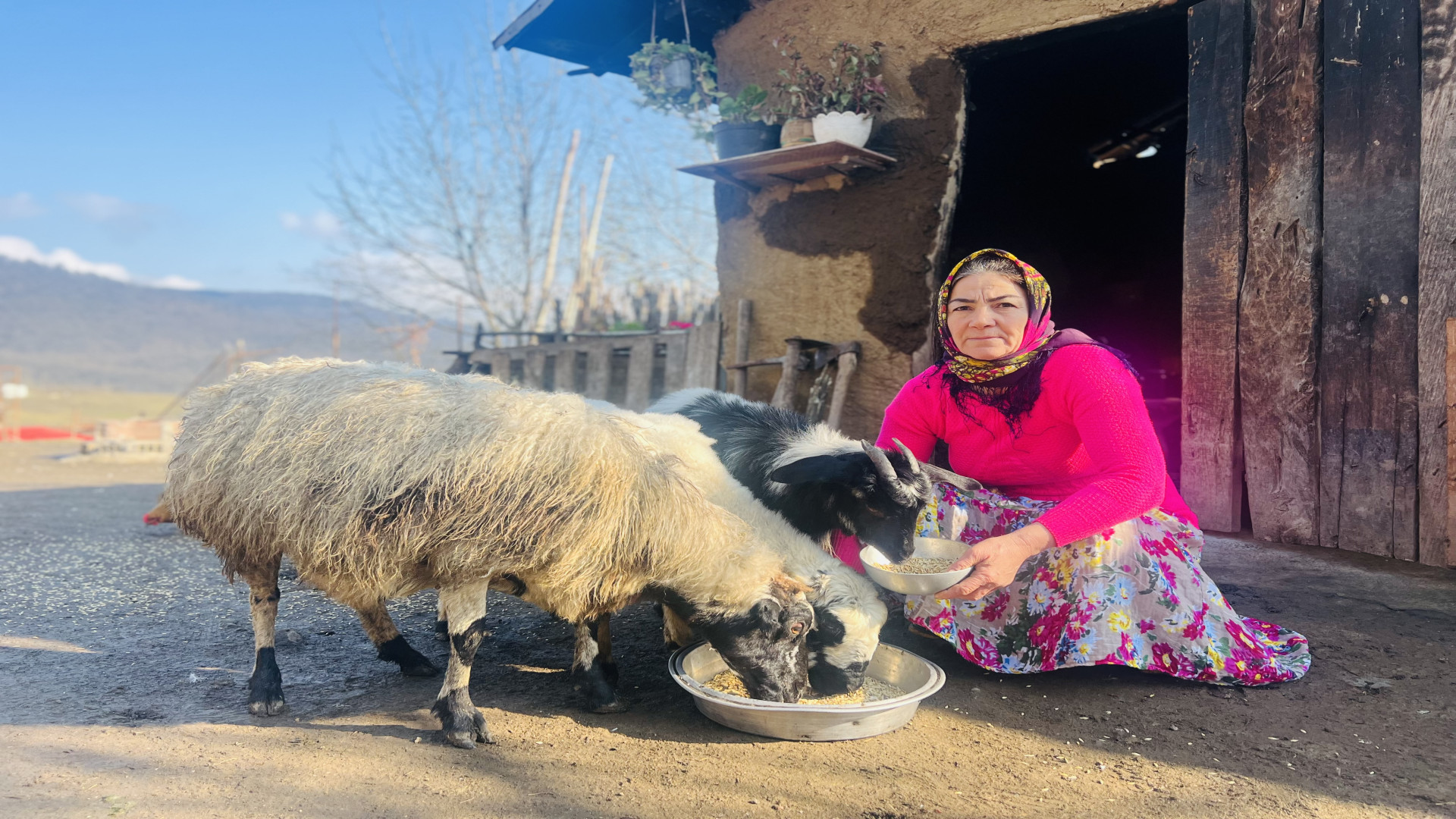 زندگی روستایی سخت