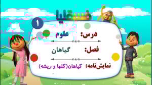 علوم پیش دبستانی  فصل گیاهان...