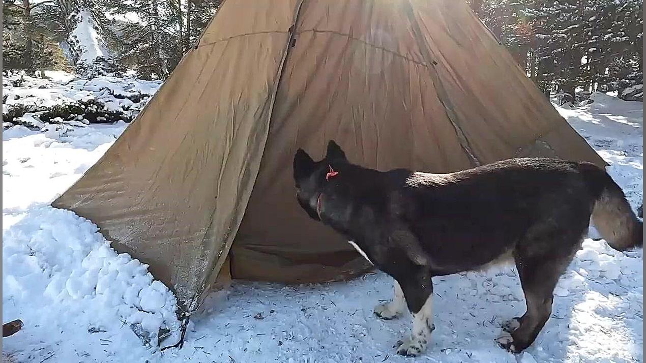 کمپینگ برفی در اعماق جنگل های...