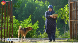 زرشک پلو با مرغ و درست کردن خی...