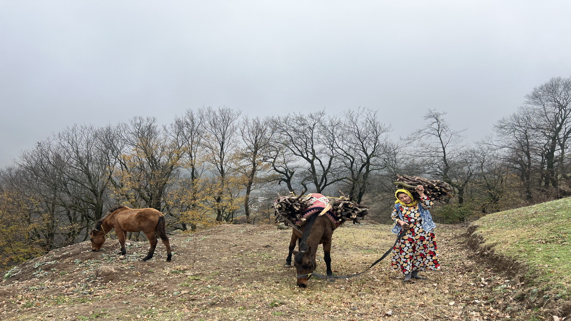 پخت قارچ طبیعی رو بخاری هیزمی