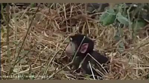 شناخت خالق از طریق مخلوق 2