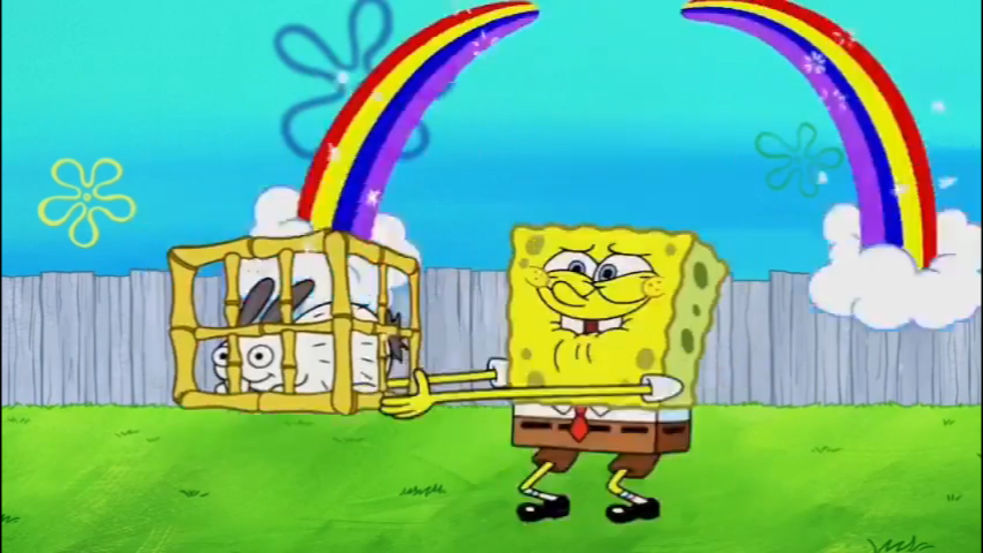 باب اسفنجی شلوار مکعبی جدید دو...