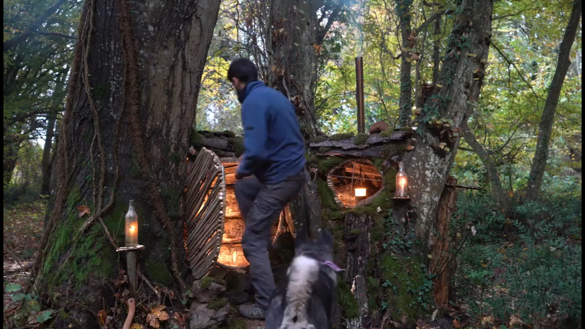 کمپینگ بقا در جنگل بارانی پایی...