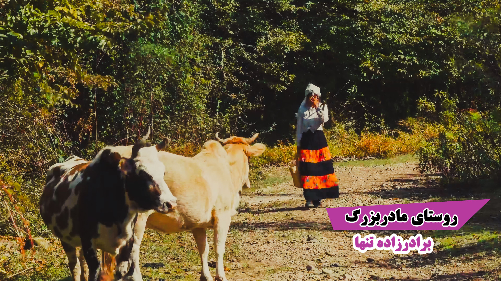 روستای مادربزرگ برادرزاده تنها