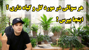 پرسش و پاسخ در مورد گل و گیاه؟...