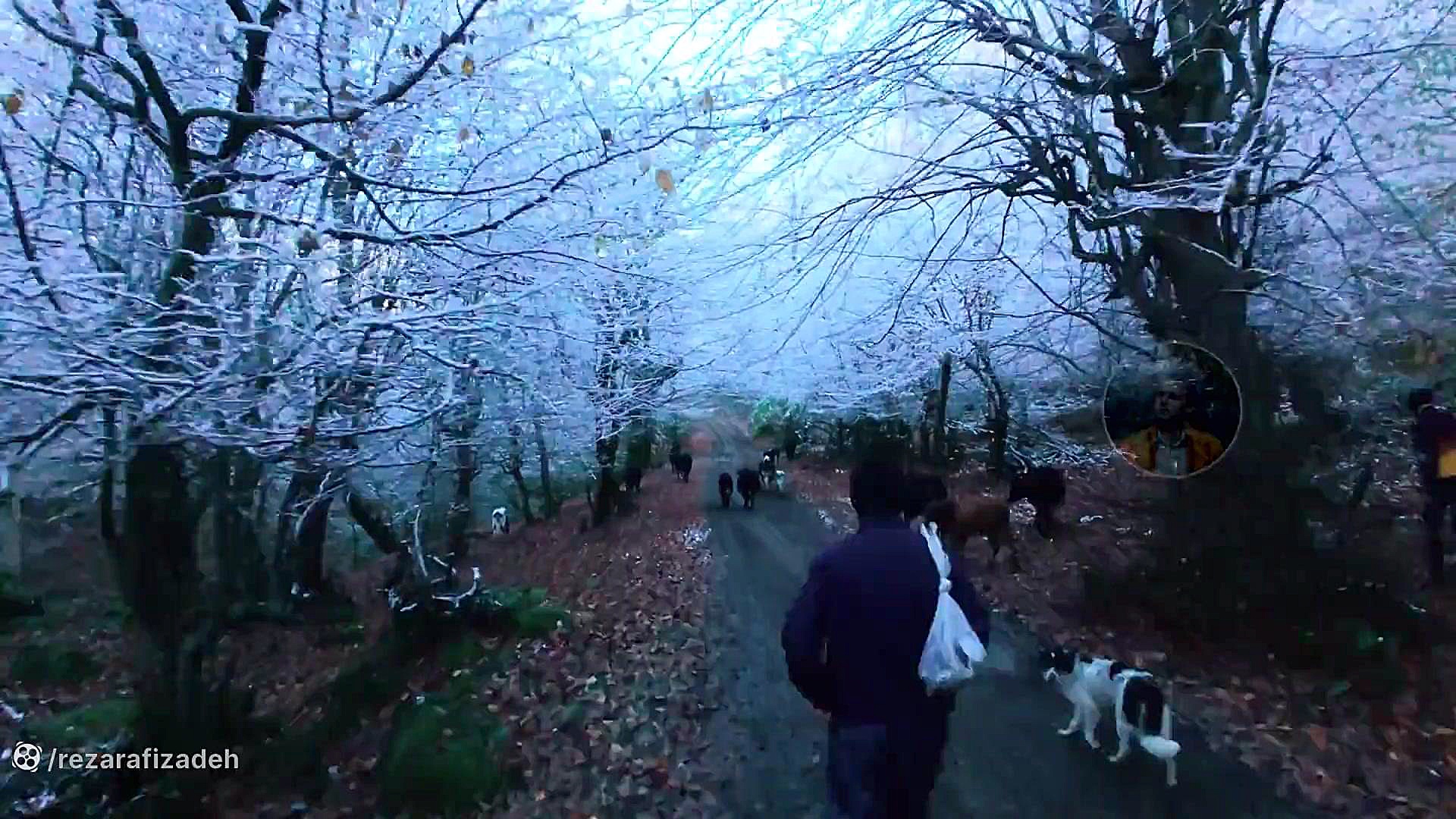 رودررویی زمستان سپید با خزان پ...