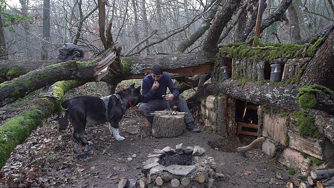 کمپینگ در اعماق جنگل های شمال...