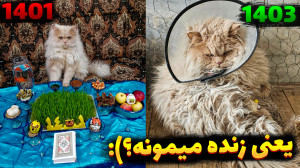 حال گربه خوب نیست :( شاید بمیر...