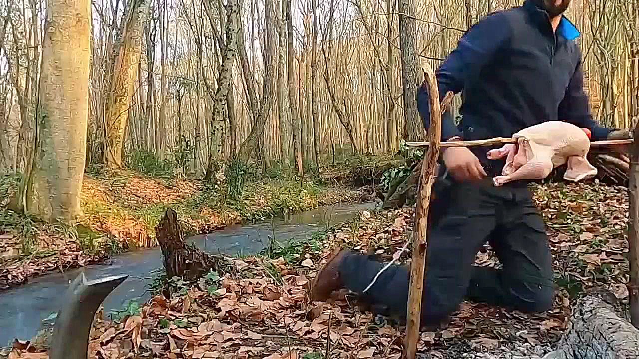 کمپینگ در جنگلهای پاییزی شمال...