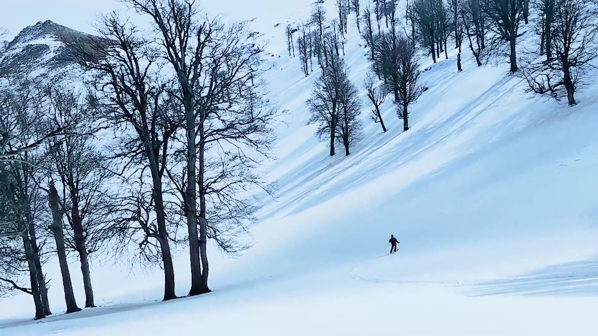 لذت اسکی در یک روز برفی