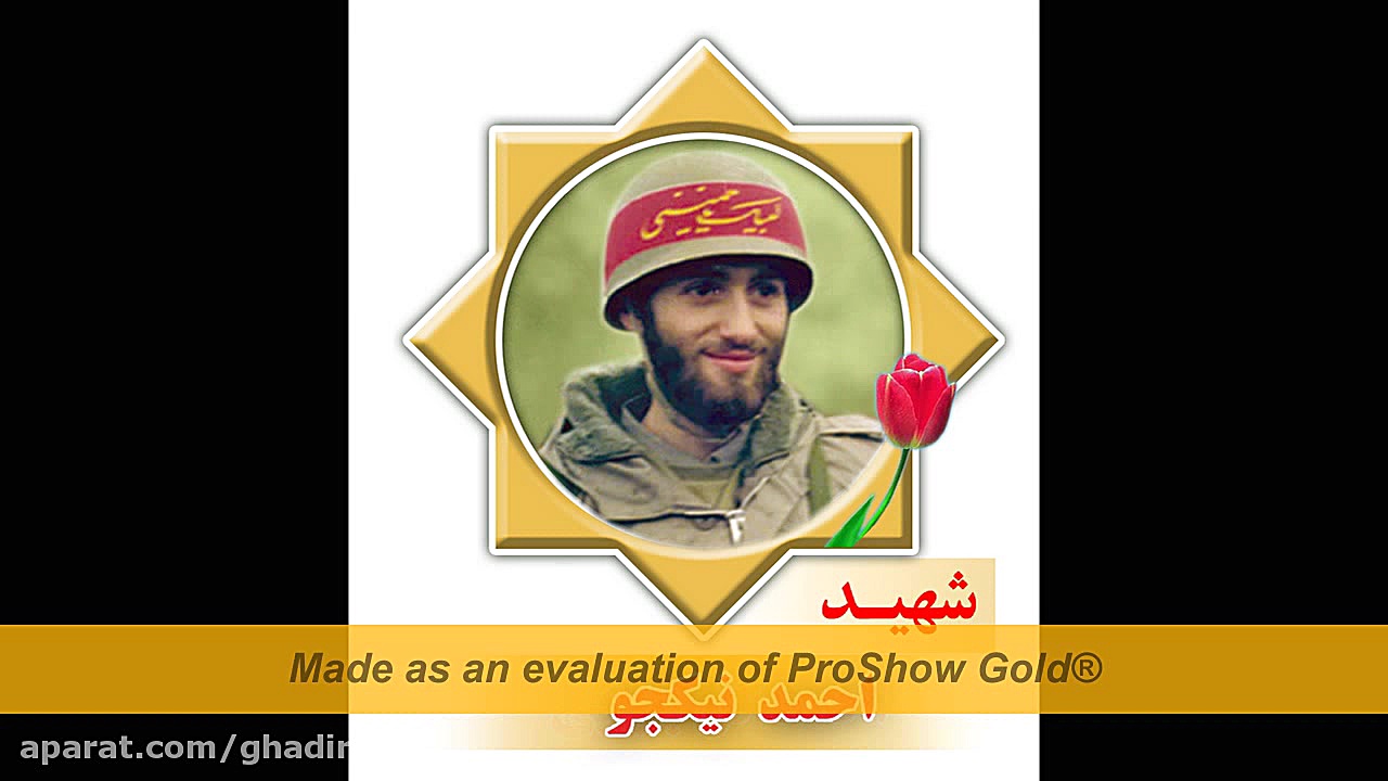 مسابقات قهرمانی کیوکوشین کارات...