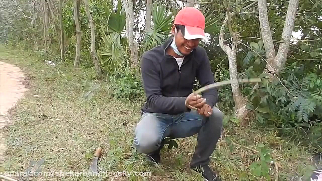 شکار سنتی در کشور کامبوج