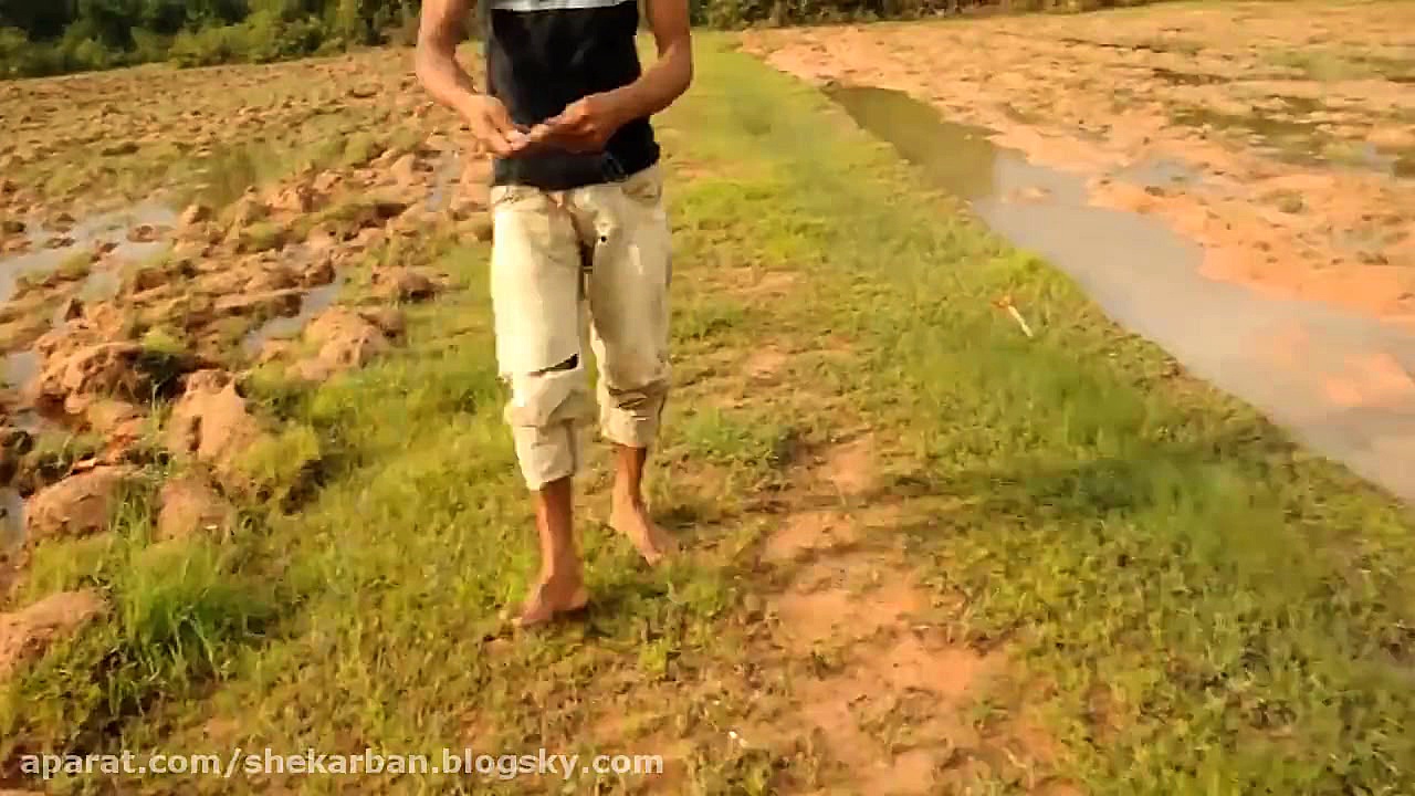 شکار و صید سنتی در کشور کامبوج