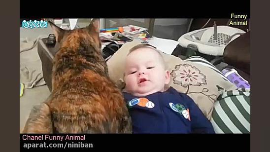 ویدیو بچه بامزه(30) کلیپ