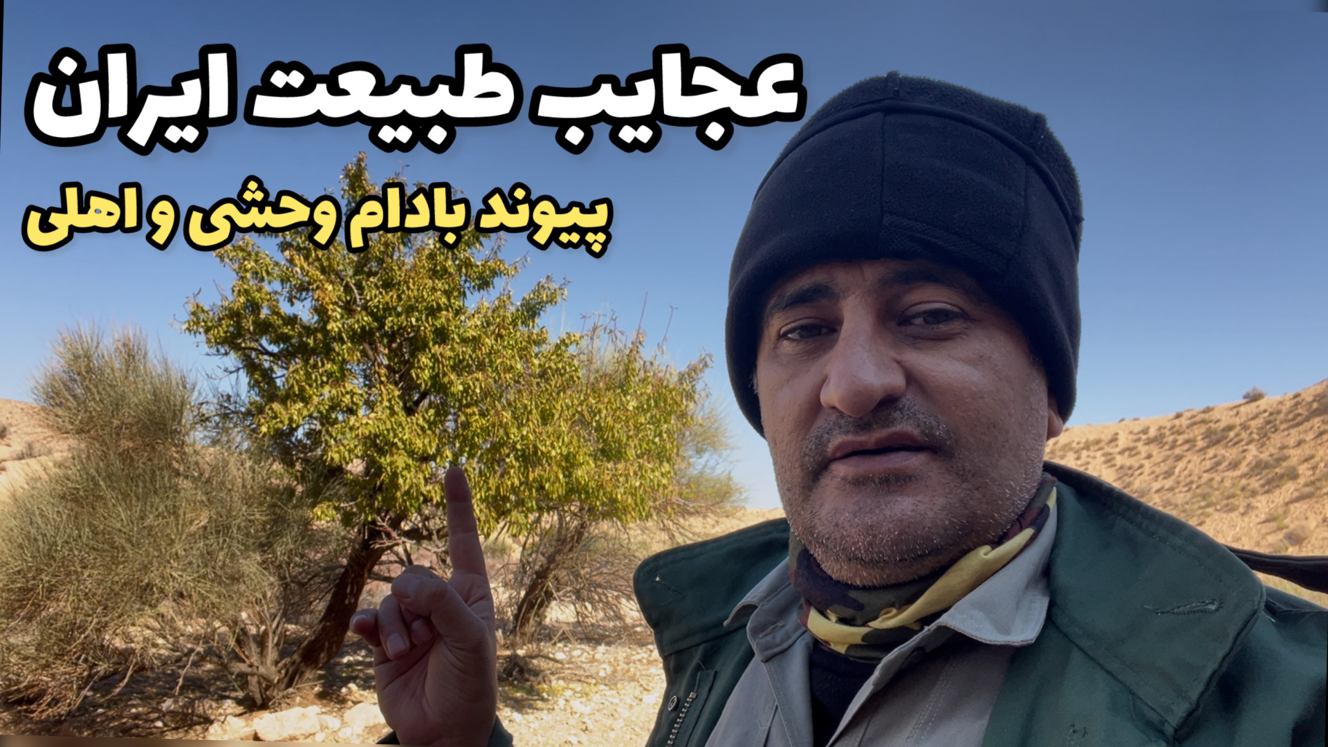 عجایب طبیعت ایران ؛ پیوند بادا...