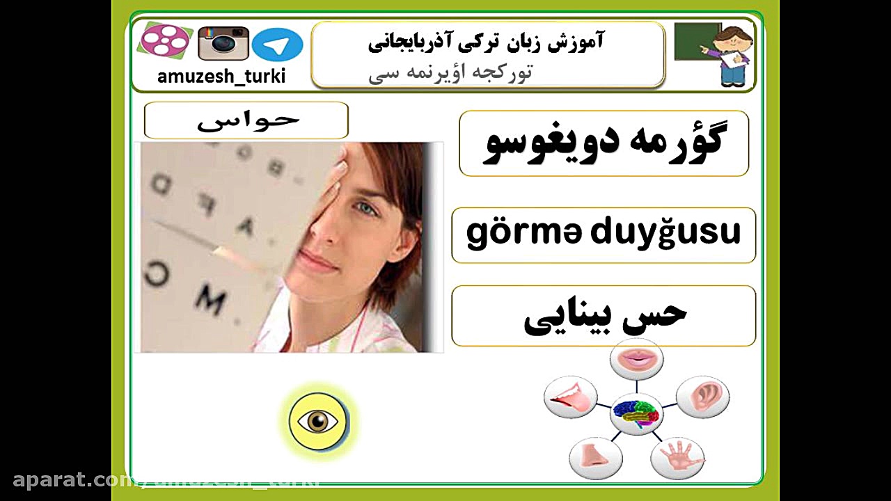 حواس پنجگانه در زبان ترکی آذرب...