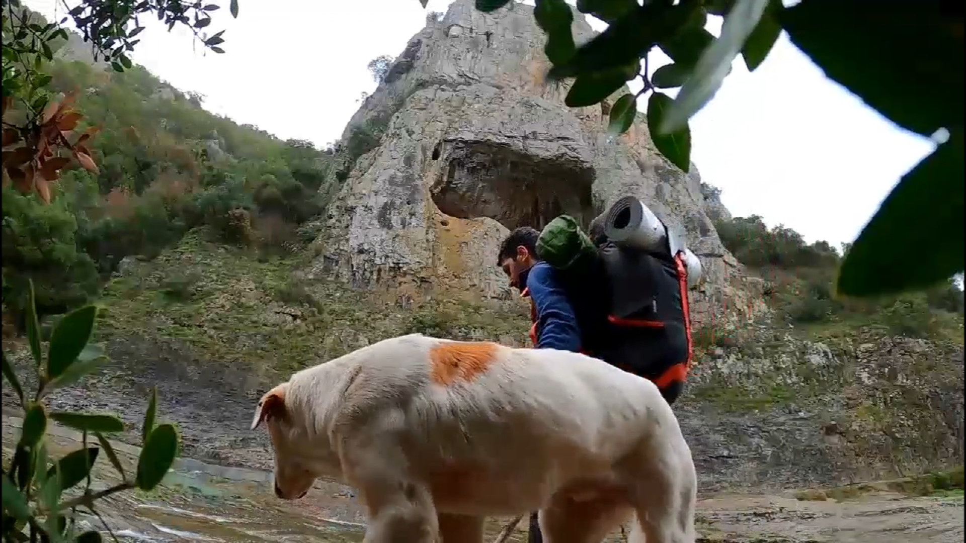 کمپینگ پاییزی و ساخت پناهگاه ب...