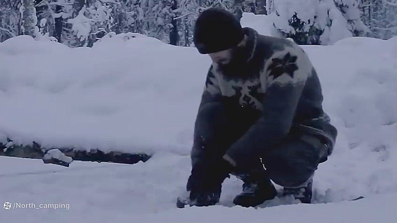 کمپینگ و ساخت کلبه چوبی در جنگ...