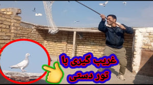 غریب گیری با تور دستی ( داداش...